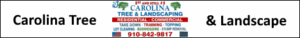 Tree Service Shallotte, NC by Carolina Tree and Landscaping in Supply NC. We take down trees for you, grind the stumps and remove all debris call today 910-842-9817